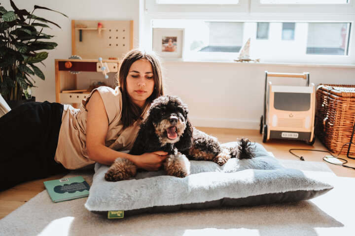 HUNTER Hundebett Rockford